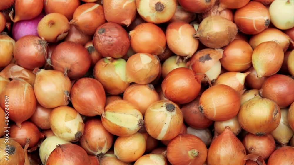 onions at the market onions at the market