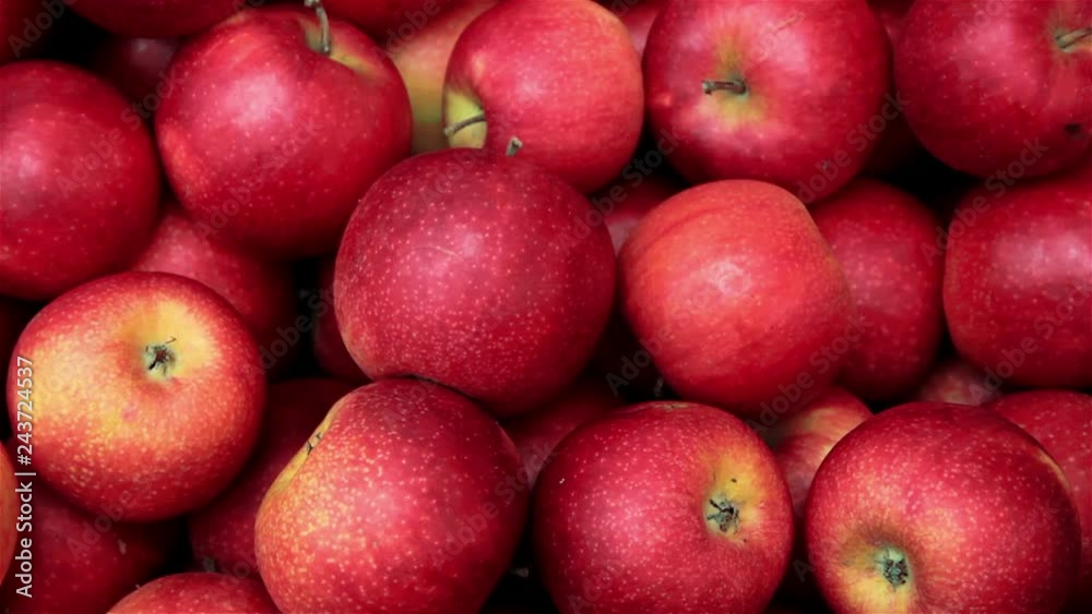 Ripe red apples Ripe red apples