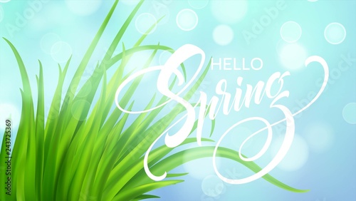 Frash Spring green grass background. Vector illustration