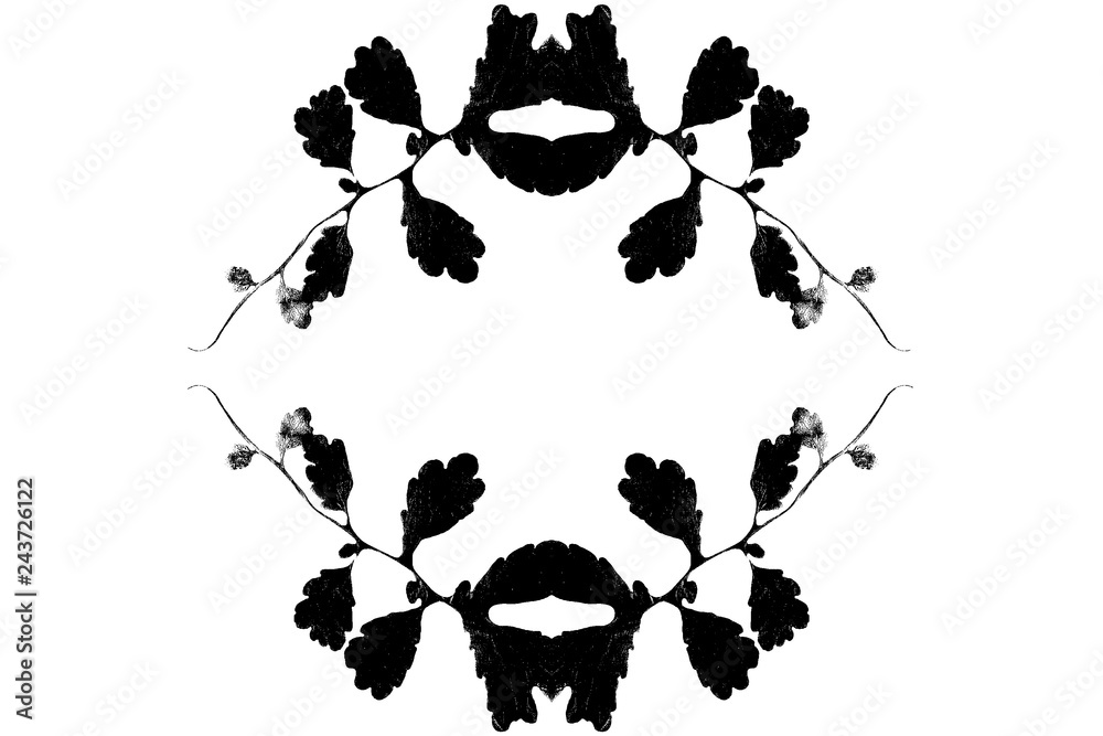 Fototapeta premium Herbarium with dry pressed plants on white background. Chelidonium majus.