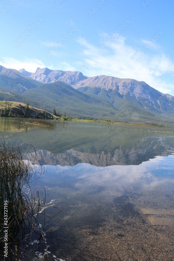 Beauty On Talbot Lake, Jasper National Park, Alberta