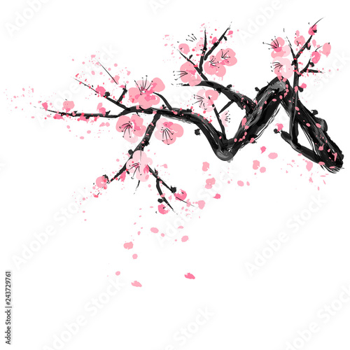 Fototapeta Naklejka Na Ścianę i Meble -  Realistic Sakura Blossom - Japanese Cherry Tree. Bloom Plum Artistic Branch. Vector 