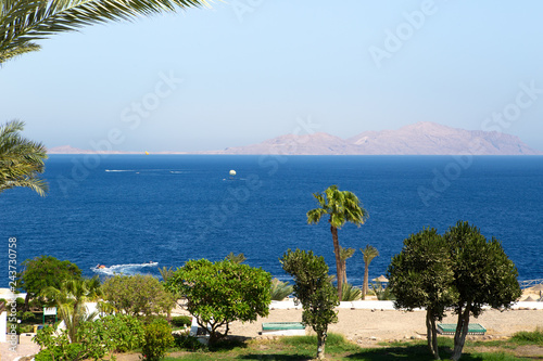Egypt, sea, palms, mountain, Tiran Island.