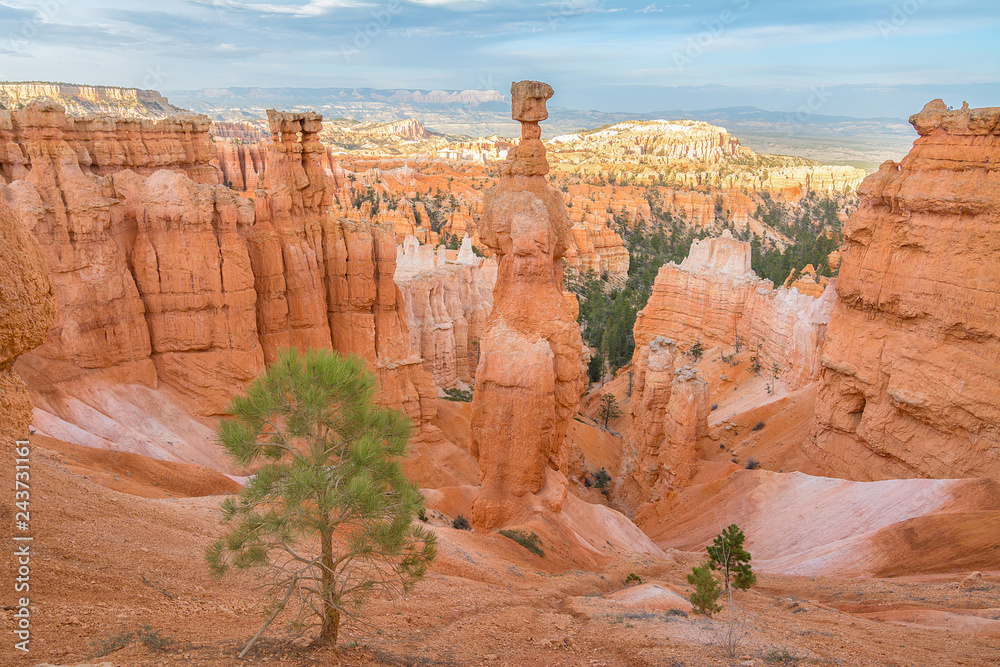 Amazing landscape in Bryce National park, Utah, Usa Amazing landscape in Bryce National park, Utah, Usa