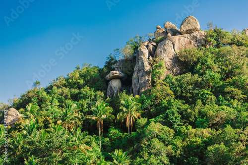  Scenic view of a tropical mountain covered with lush jungle and granite rocks under clear blue sky on Koh Tao island, Thailand. Perfect travel destination for nature lovers and adventurers