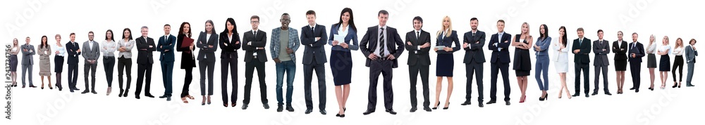 Obraz premium panoramic photo of a group of confident business people.