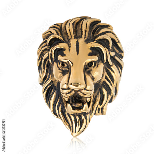 Fashion Male Lion ring isolation white