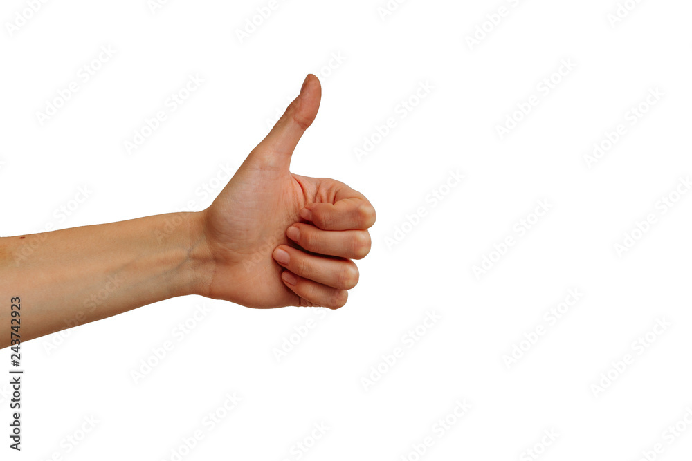 Hand on a white background. Isolate Hand on a white background. Isolate