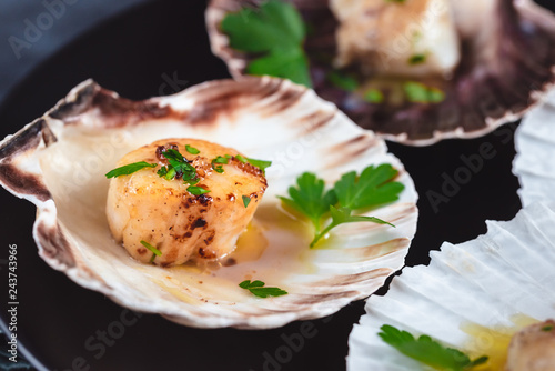 Seared scallops shell with butter, garlic and parsley. photo