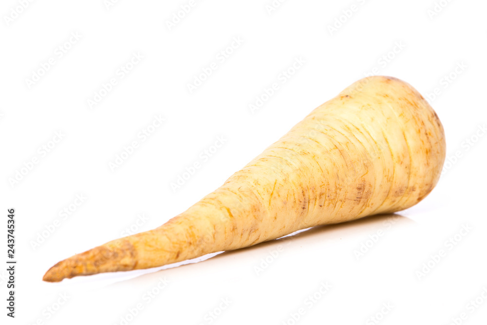 parsley root on isolated on white background parsley root on isolated on white background
