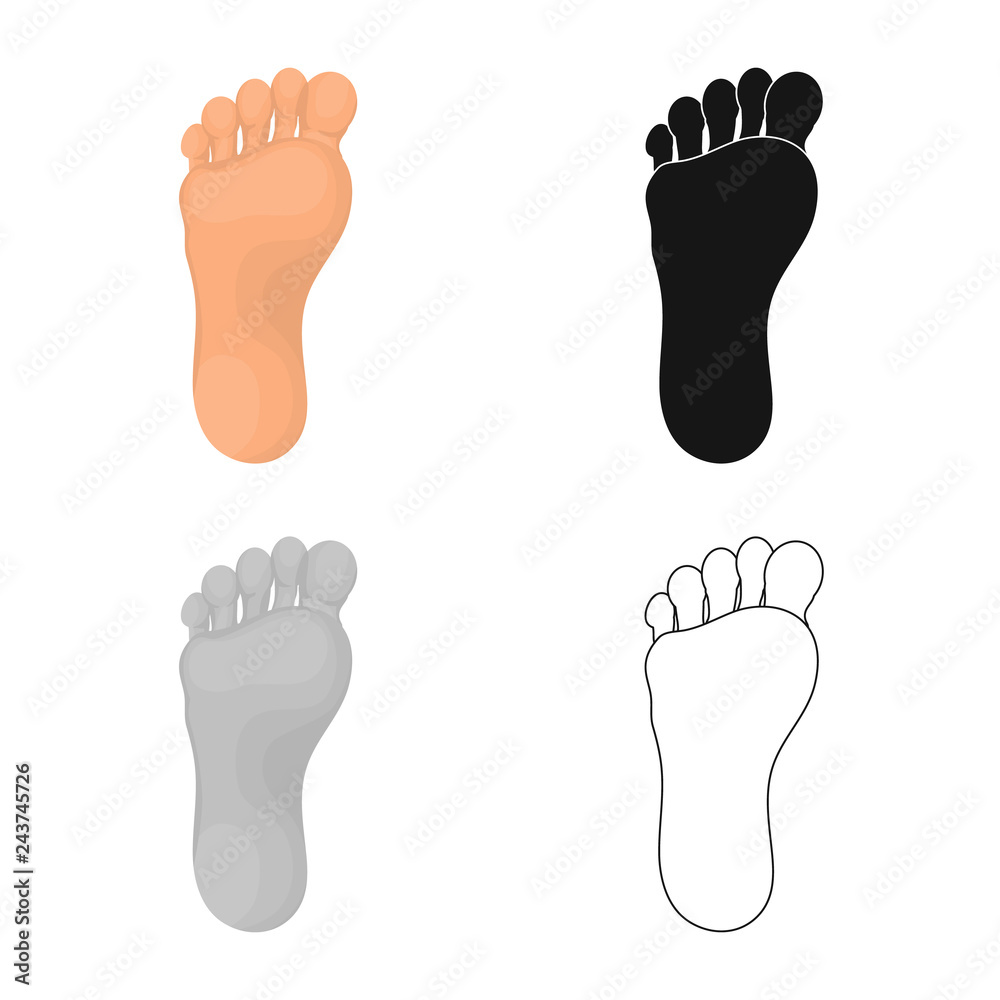 Isolated object of body and part symbol. Collection of body and anatomy stock vector illustration.