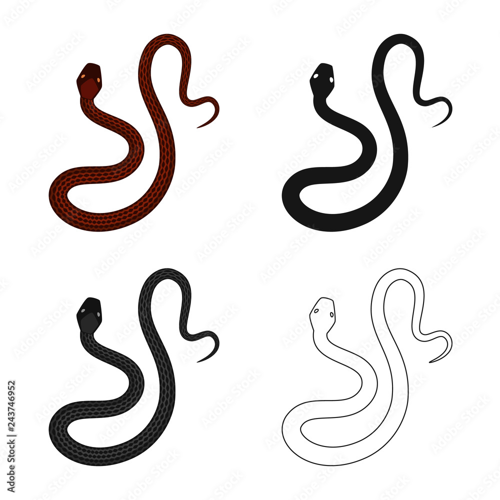 Vector design of mammal and danger icon. Set of mammal and medicine vector icon for stock. Vector design of mammal and danger icon. Set of mammal and medicine vector icon for stock.