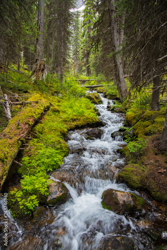 Lake Ohara hiking trail in cloudy day in Spring, Yoho, Canada