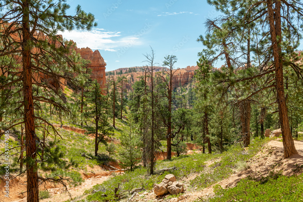 View from Navajo Loop in Bryce Canyon National Park, Utah View from Navajo Loop in Bryce Canyon National Park, Utah