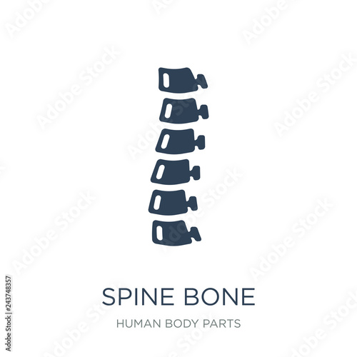 spine bone icon vector on white background, spine bone trendy fi