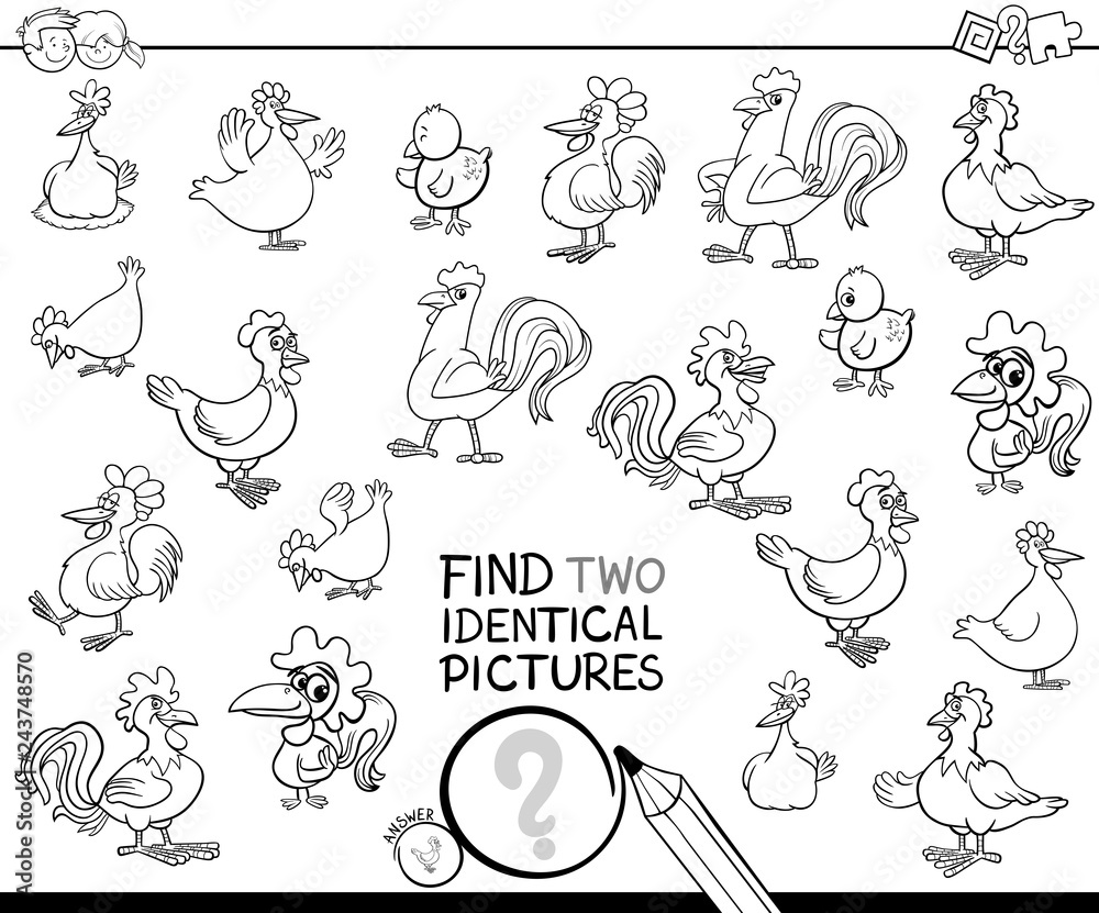 find two identical chicken pictures color book find two identical chicken pictures color book