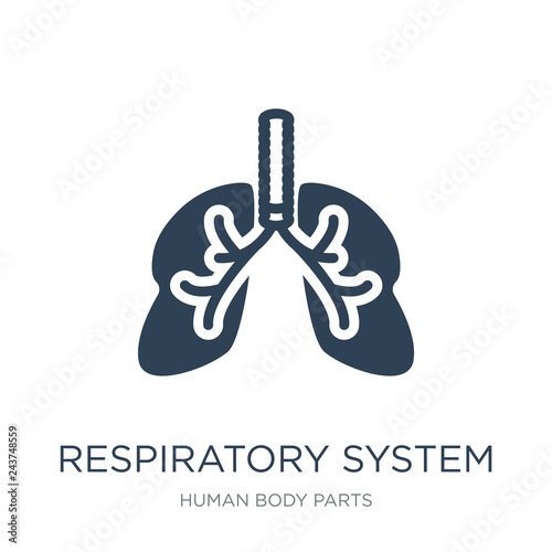 respiratory system icon vector on white background, respiratory
