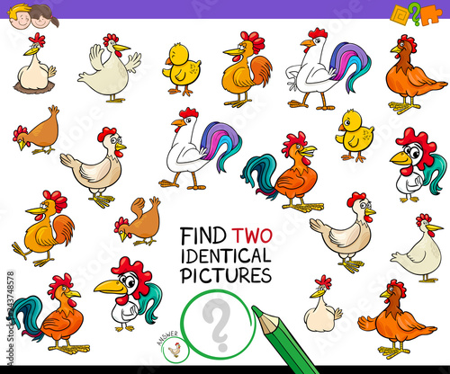 Fototapeta Naklejka Na Ścianę i Meble -  find two identical chicken pictures game for kids