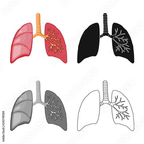 Vector design of biology and scientific icon. Set of biology and laboratory vector icon for stock.