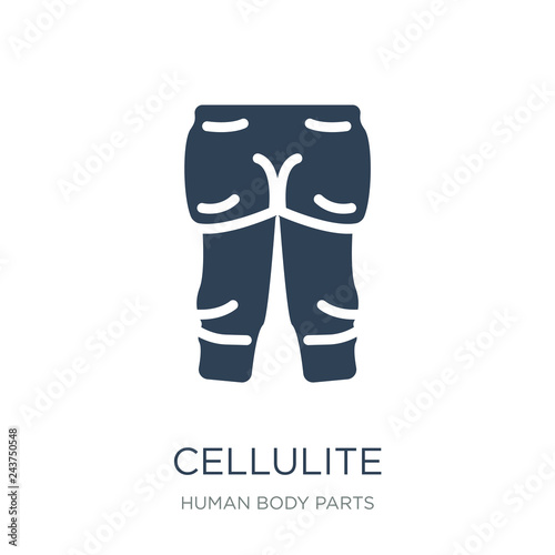 cellulite icon vector on white background, cellulite trendy fill