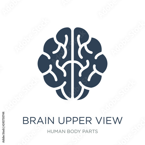 brain upper view icon vector on white background, brain upper vi