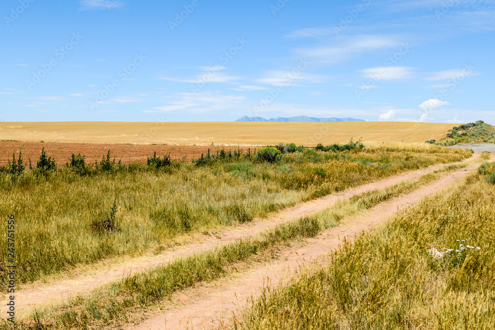 Dirt road with fields in Colorado