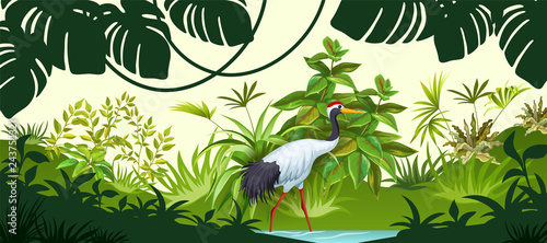 Tropical background with exotic plants jungle. Crane, palm and liana. Isolated vector illustration.