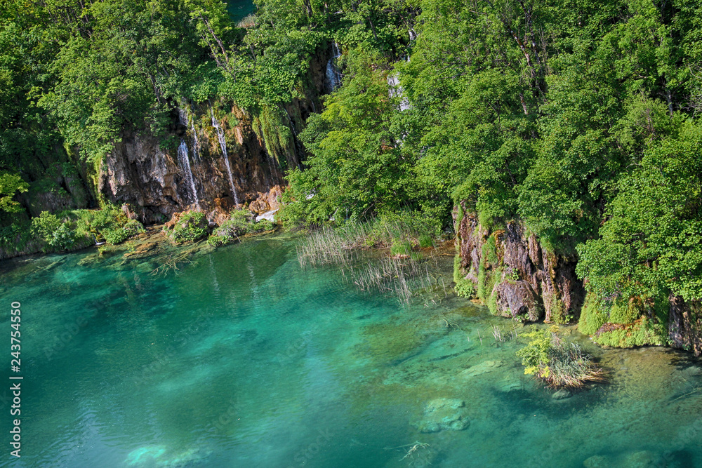 Naklejka premium The beautiful view na the turquoise clear water of Plitvice lake.
