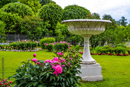 Fototapeta Naklejka Na Ścianę i Meble -  Antique vase and peonies in the city garden. Ancient greek style statue. Marble, stone material. Beautiful unique garden design. Blossoming flowers, trees, bushes. Summertime photo for print, poster