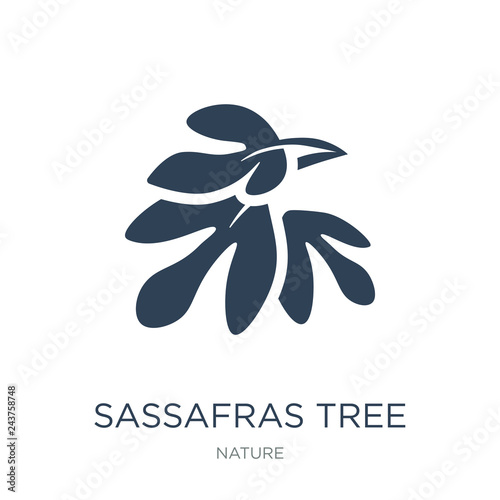 sassafras tree icon vector on white background, sassafras tree t photo