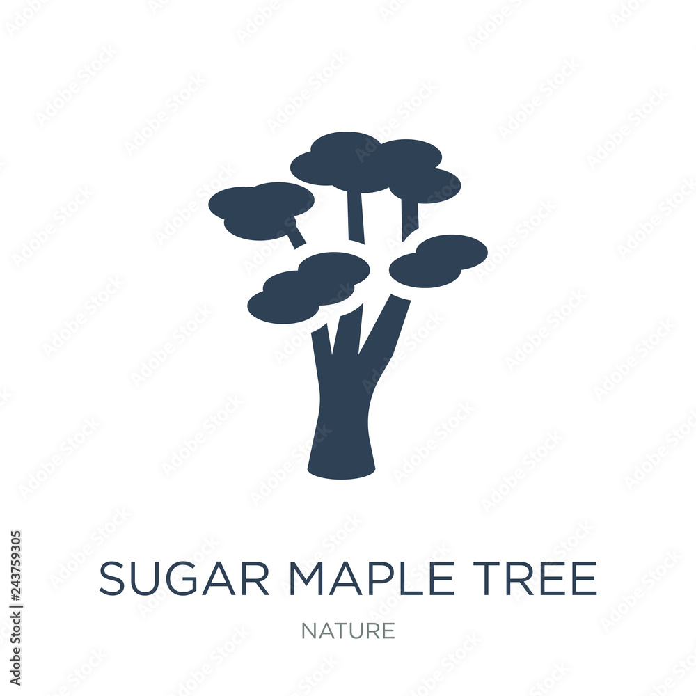 sugar maple tree icon vector on white background, sugar maple tr sugar maple tree icon vector on white background, sugar maple tr