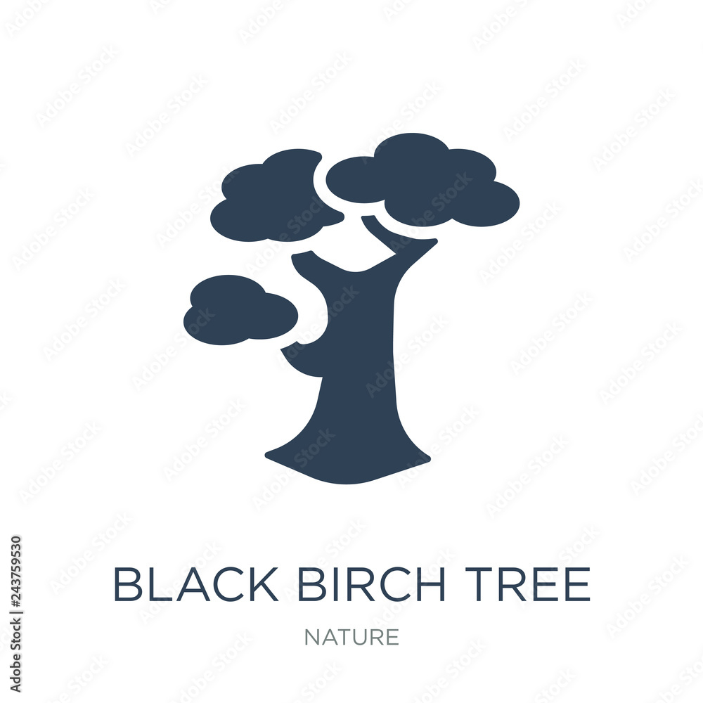 black birch tree icon vector on white background, black birch tr black birch tree icon vector on white background, black birch tr