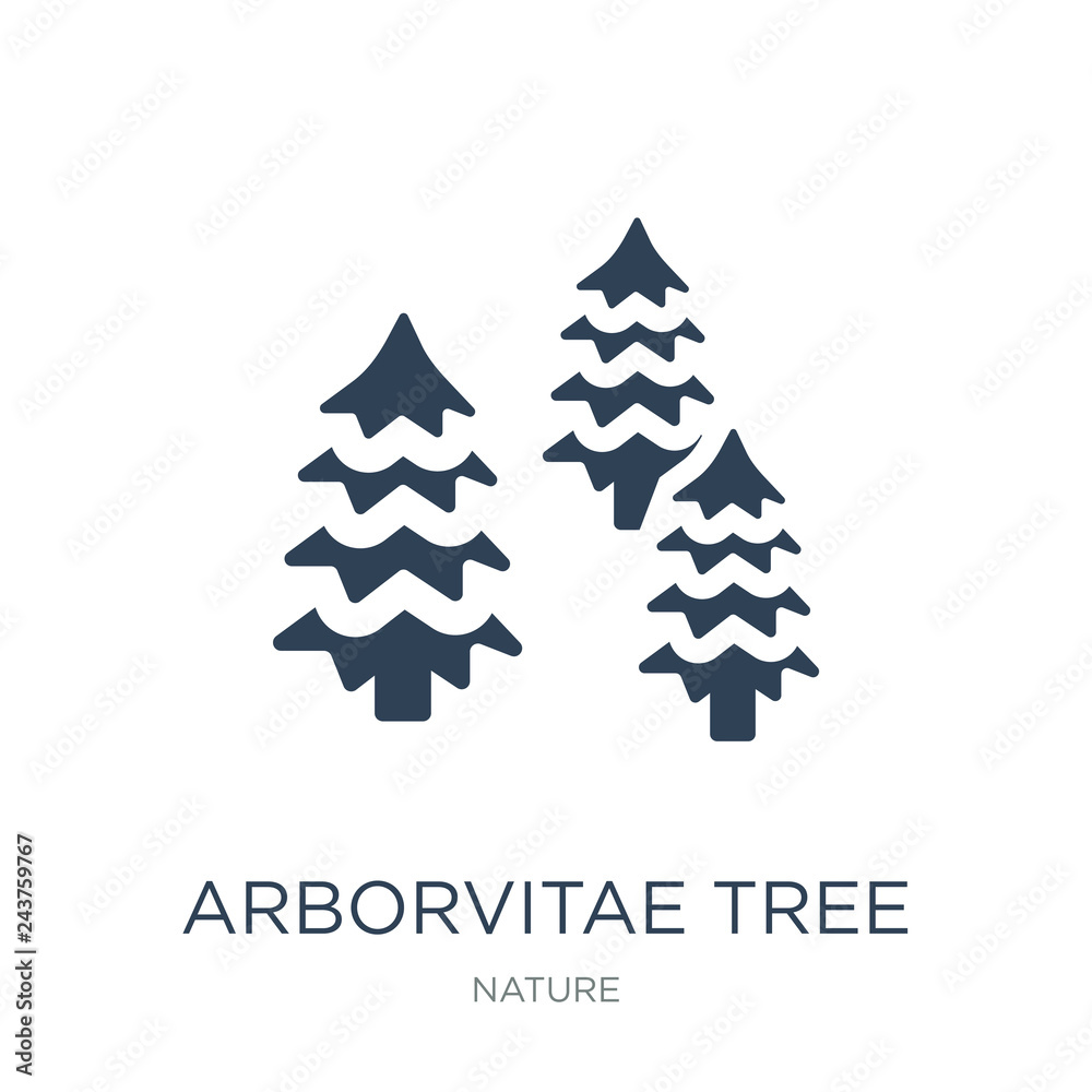 arborvitae tree icon vector on white background, arborvitae tree