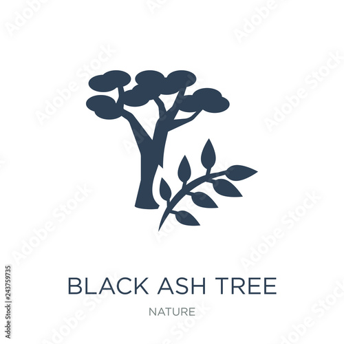 black ash tree icon vector on white background, black ash tree t