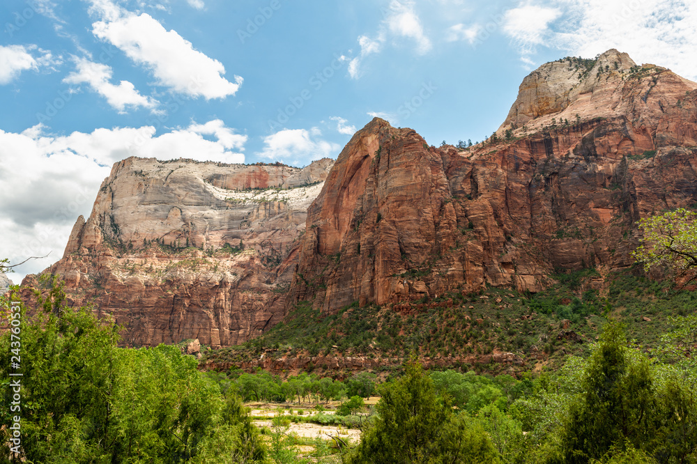 Cliffs seen from the valley floor in Zion National Park, Utah