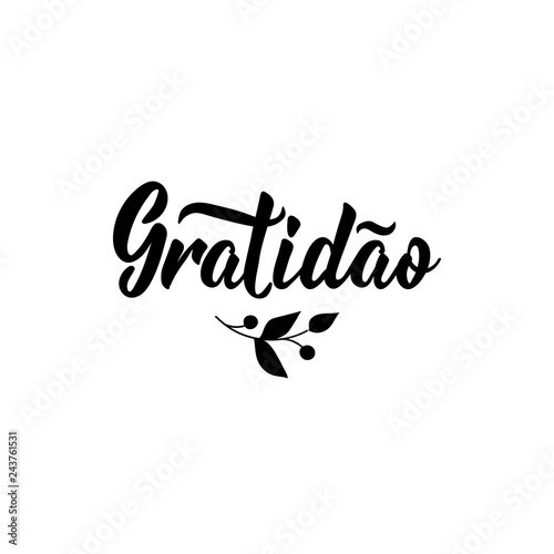 Gratitude. Translation from portuguese - Gratitude. Modern calligraphy. Gratidao photo