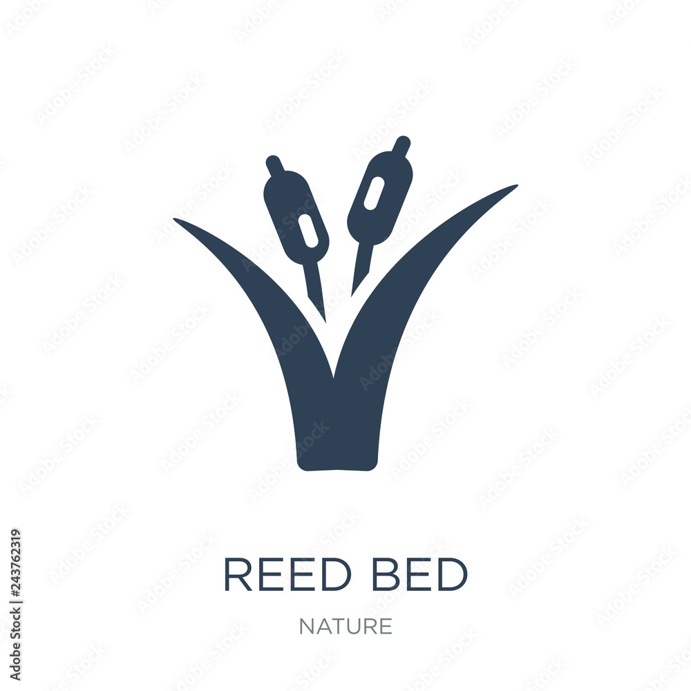 Obraz premium reed bed icon vector on white background, reed bed trendy filled