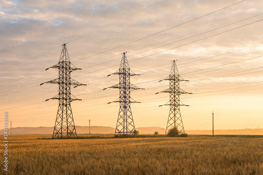 Three high-voltage poles on a wheat field in the rays of the rising sun