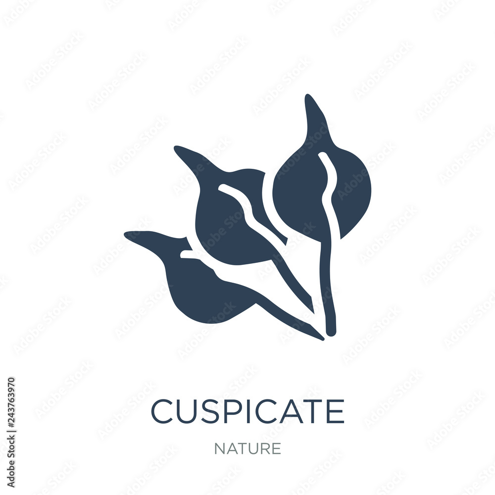 Naklejka premium cuspicate icon vector on white background, cuspicate trendy fill