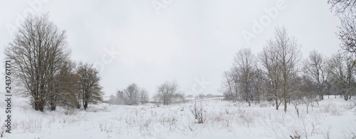 large horizontal winter snow panorama on the road through mixed forest © ironwool
