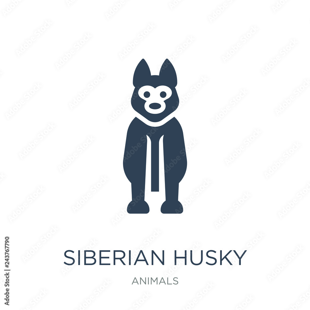 siberian husky icon vector on white background, siberian husky t