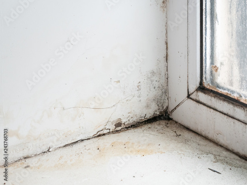 wet corner of window frame with mold fungus, wall is slightly cracked. indoor image