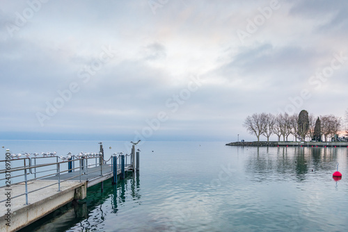 Beautiful tranquil dramatic colourful atmosphere of misty, cloudy on evening time at lake Geneva with birds on pier's railing, red floating buoys and pier without people in Lausanne, Switzerland.