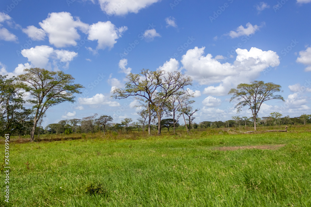 beautiful landscape sky and clouds in venezuela beautiful landscape sky and clouds in venezuela