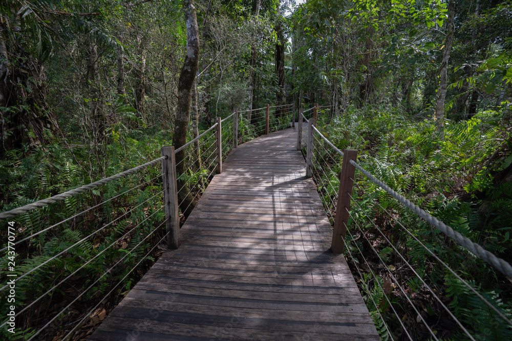 Walking path in the Barron Gorge, Cairns, Australia Walking path in the Barron Gorge, Cairns, Australia