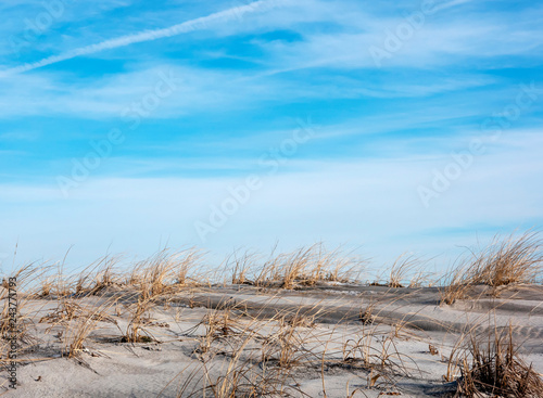 Dunes with Brush and Sky