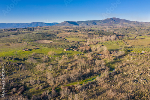 An aerial view of the amazing "Dehesa Extremeña" is what we found at Extremadura region outdoors, grassfields, lagoons, oaks and lot of cow cattle in the farmland fields of Spain countryside panorama