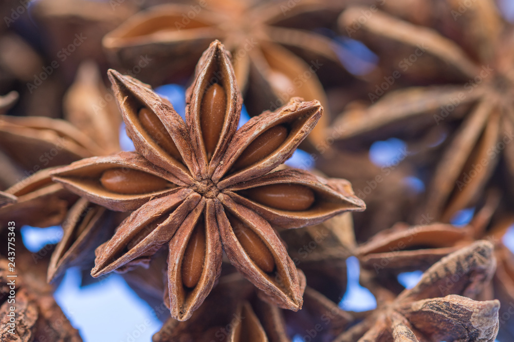 Star anise and Cinnamon sticks spice Star anise and Cinnamon sticks spice