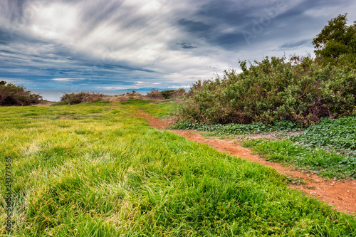 Grassy meadow above the ocean with colorful cloudy sky