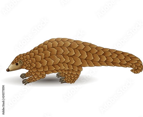 Cartoon pangolin isolated on white background